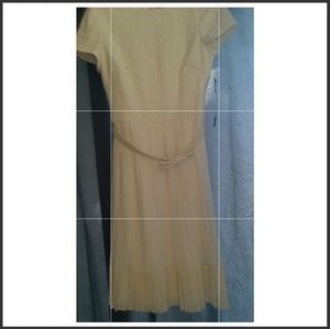 Badgley Mischka Dress